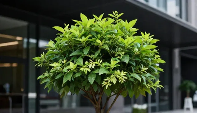 商铺装修:旧房翻新中的性能限制问题分析