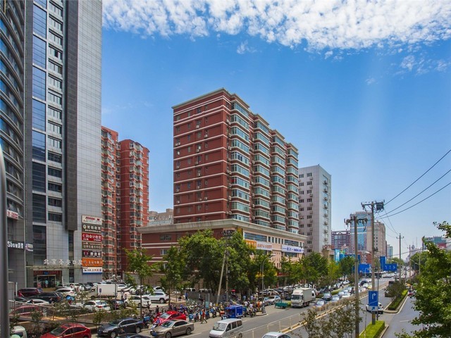 焦作供应造型树销售电话